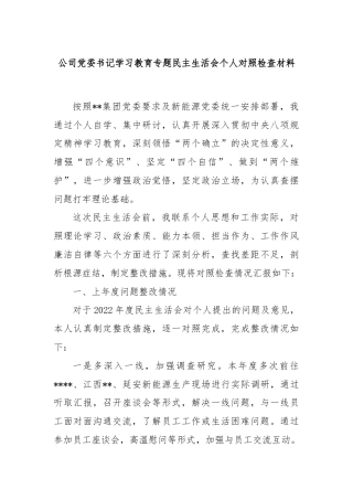 公司党委书记学习教育专题民主生活会个人对照检查材料