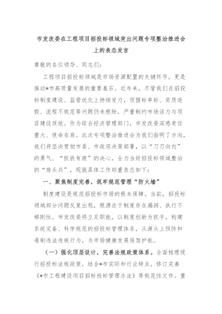 市发改委在工程项目招投标领域突出问题专项整治推进会上的表态发言