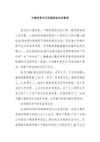 乡镇党委书记民族团结先进事迹