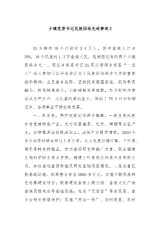 乡镇党委书记民族团结先进事迹2