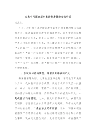 在集中问题查摆和整治部署推进会的讲话