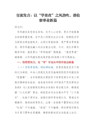 交流发言：以“学查改”之风劲吹，谱检察事业新篇