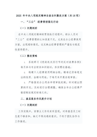 2025 年中央八项规定精神自查自纠整改方案（共18项）