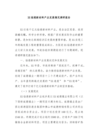 XX临港新材料产业发展情况调研报告