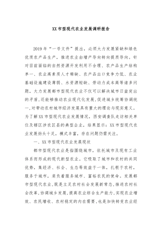 XX市型现代农业发展调研报告