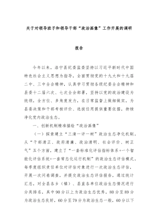 关于对领导班子和领导干部“政治画像”工作开展的调研报告