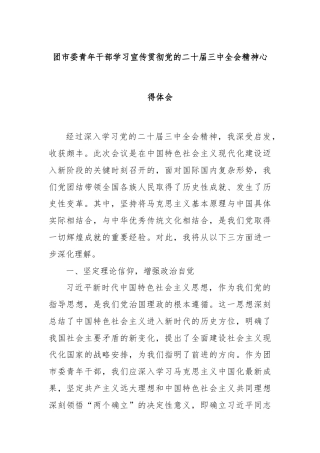 团市委青年干部学习宣传贯彻党的二十届三中全会精神心得体会