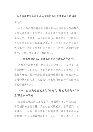县长在规范涉企行政执法专项行动动员部署会上的讲话