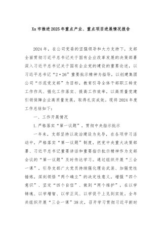 Xx市推进2025年重点产业、重点项目进展情况报告