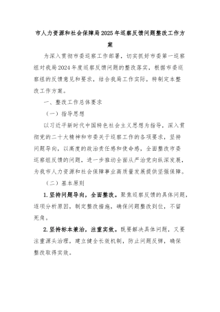 市人力资源和社会保障局2025年巡察反馈问题整改工作方案