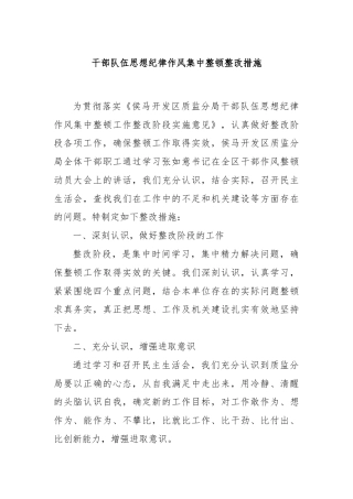 干部队伍思想纪律作风集中整顿整改措施