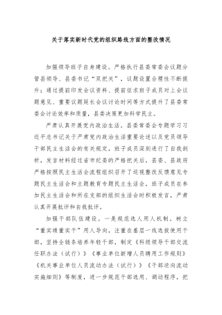 关于落实新时代党的组织路线方面的整改情况
