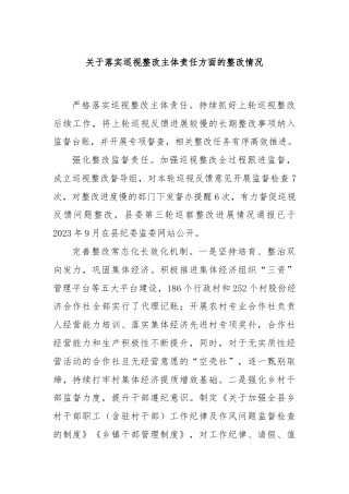 关于落实巡视整改主体责任方面的整改情况