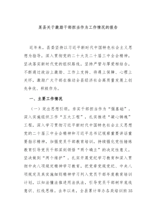 某县关于激励干部担当作为工作情况的报告