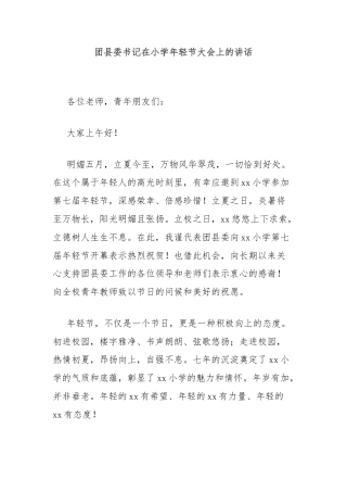 团县委书记在小学年轻节大会上的讲话