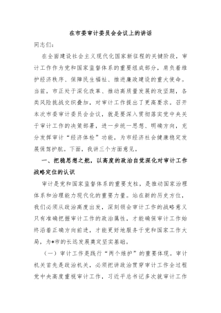 在市委审计委员会会议上的讲话