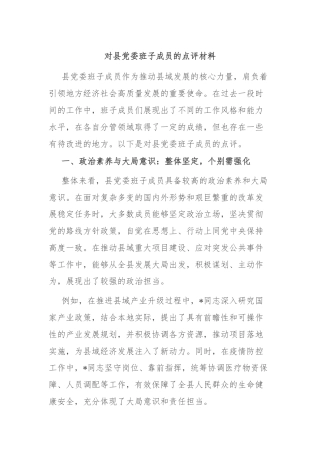 对县党委班子成员的点评材料