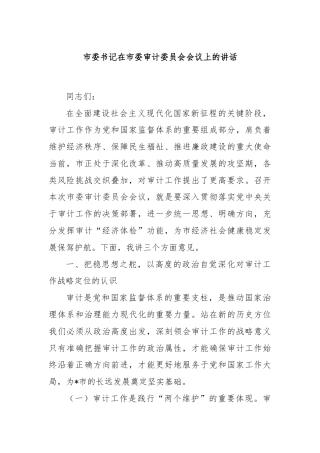 市委书记在市委审计委员会会议上的讲话
