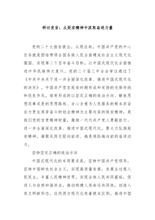 研讨发言：从延安精神中汲取奋进力量