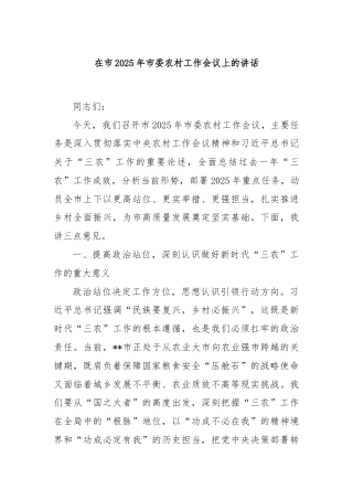 在市2025年市委农村工作会议上的讲话