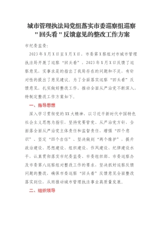 城市管理执法局党组落实市委巡察组巡察＂回头看＂反馈意见的整改工作方案