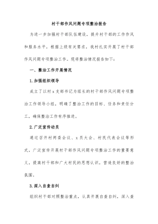 村干部作风问题专项整治报告