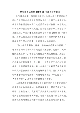 党支部书记观看《榜样9》专题片心得体会