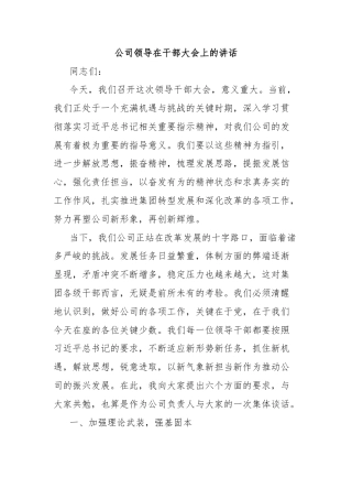 公司领导在干部大会上的讲话