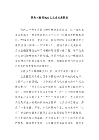 聚焦关键领域夯实农业发展根基