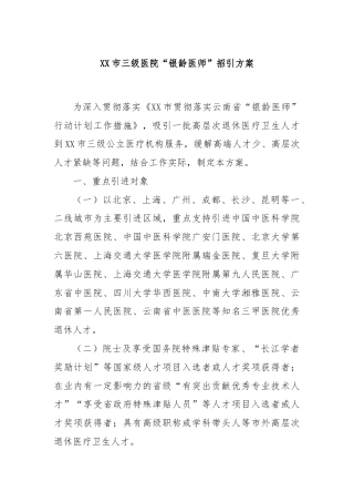 XX市三级医院“银龄医师”招引方案