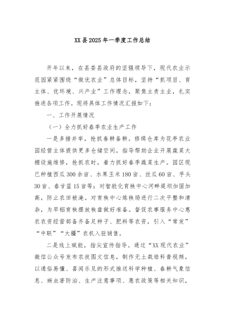 XX县2025年一季度工作总结