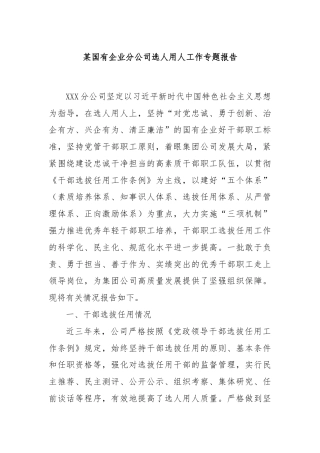 某国有企业分公司选人用人工作专题报告