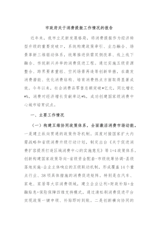市政府关于消费提振工作情况的报告
