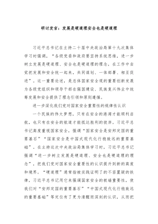 研讨发言：发展是硬道理安全也是硬道理