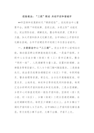 经验做法：“三级”联动 共创平安和谐城市