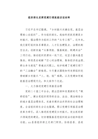 组织部长发挥党建引领效能访谈材料