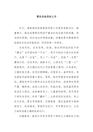 管住任性用权之手