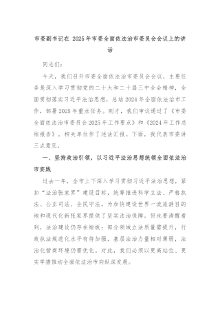 市委副书记在 2025年市委全面依法治市委员会会议上的讲话