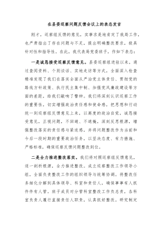 在县委巡察问题反馈会议上的表态发言