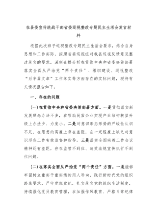 在县委宣传统战干部省委巡视整改专题民主生活会发言材料