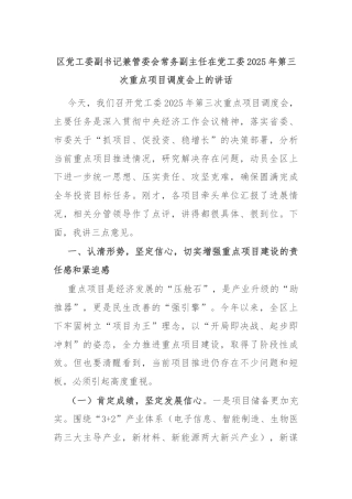区党工委副书记兼管委会常务副主任在党工委2025年第三次重点项目调度会上的讲话