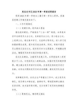 党总支书记2025年第一季度述职报告