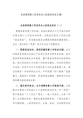 (2篇)在县委巡察工作动员会上的表态发言