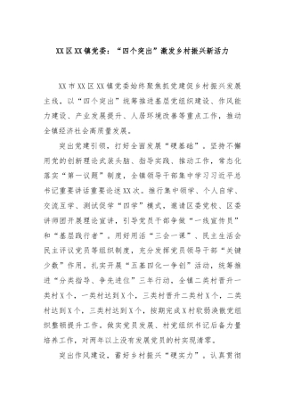 XX区XX镇党委：“四个突出”激发乡村振兴新活力