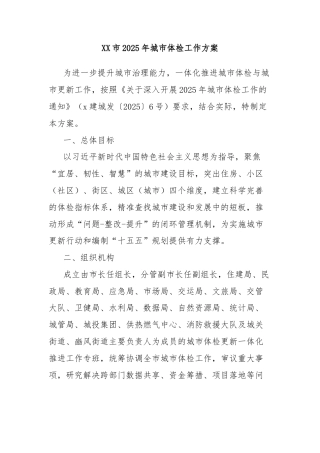 XX市2025年城市体检工作方案