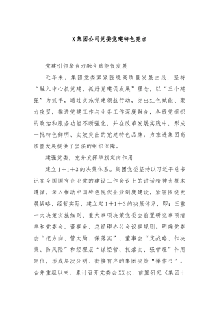X集团公司党委党建特色亮点
