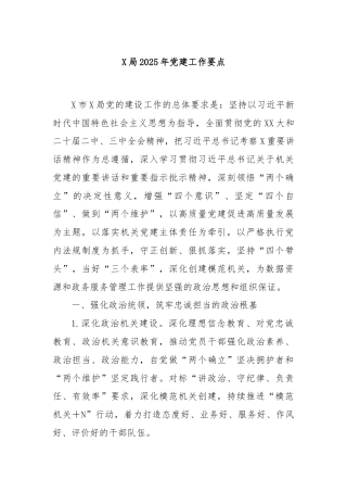 X局2025年党建工作要点