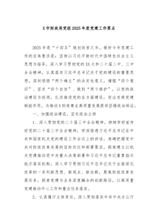 X市财政局党组2025年度党建工作要点