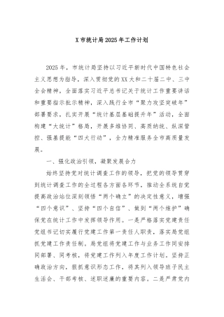 X市统计局2025年工作计划