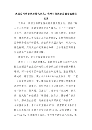 集团公司党委党建特色亮点：党建引领聚合力融合赋能促发展